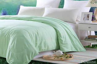 蚕丝被的清洗与选购指南 知名品牌与家纺知识